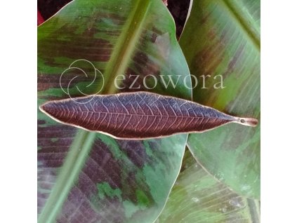 drziak na vonne tycinky 1