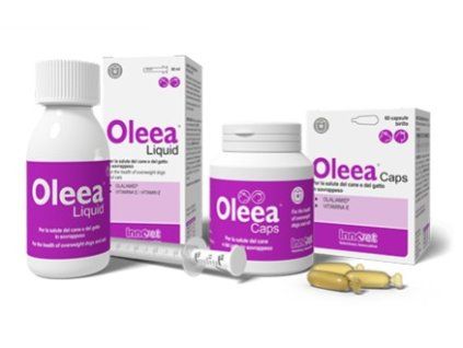 Oleea