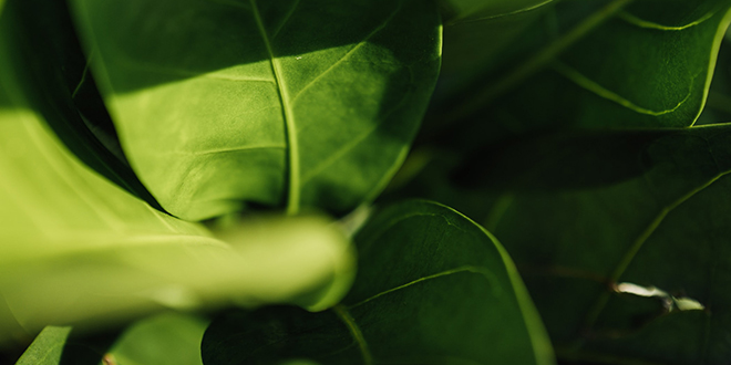 Šetrnost a udržitelnost