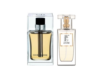 231m christian dior homme