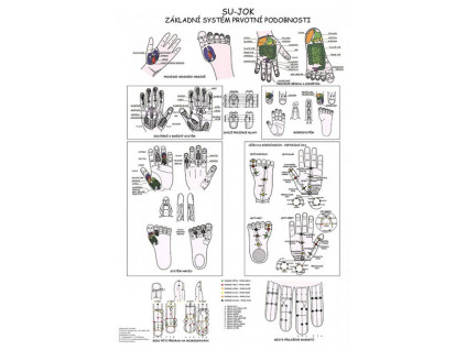 anatomicky plakat su jok zakladni system prvotni podobnosti