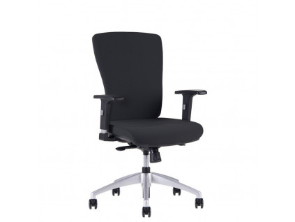 Ergonomicka kancelarska zidle OfficePro Halia (Barva seda, Operka hlavy s operkou)