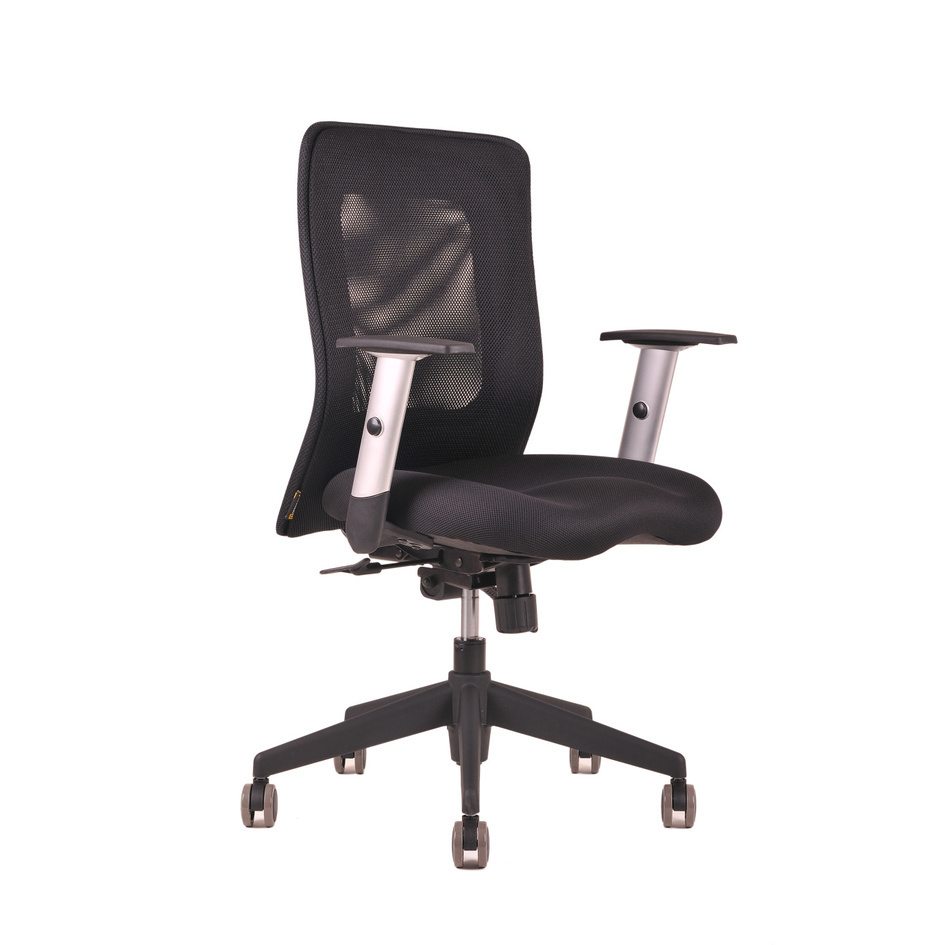 Levně Ergonomická kancelářská židle OfficePro Calypso Barva: černá