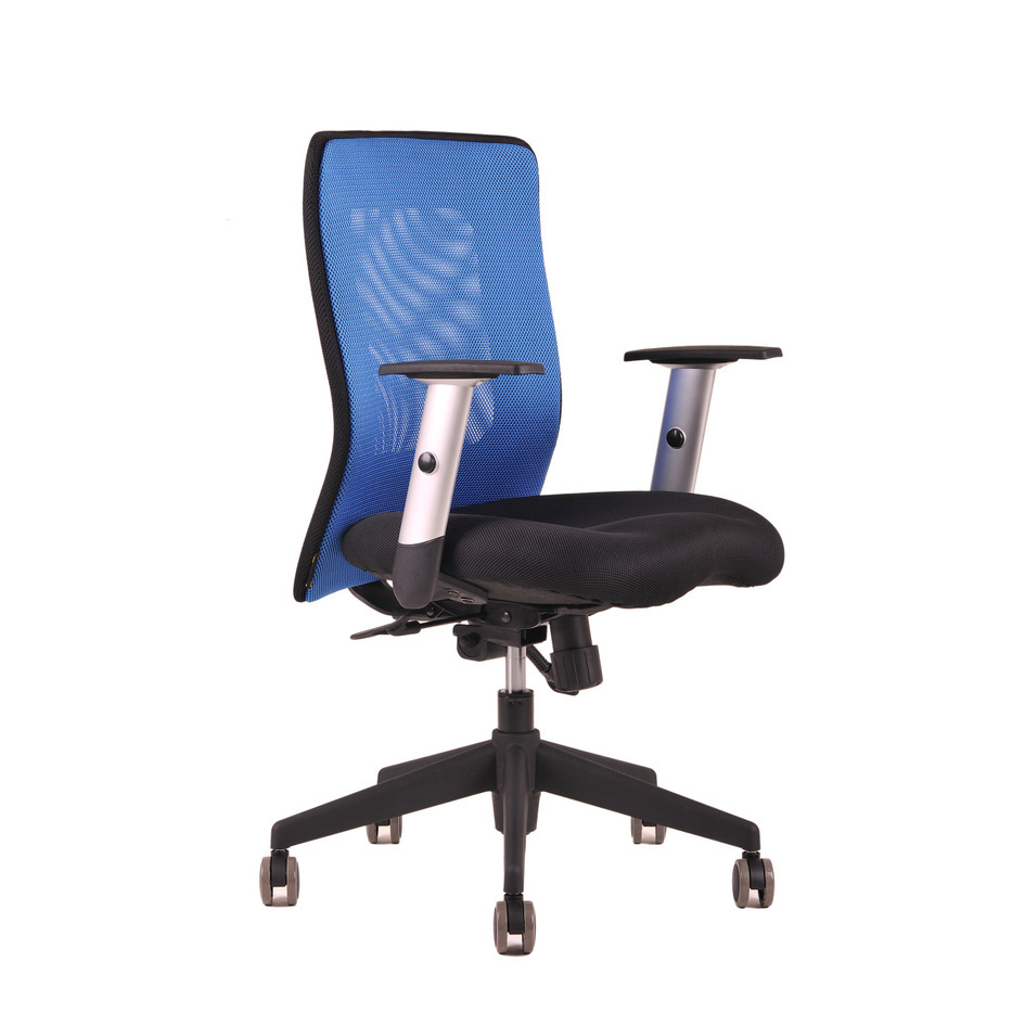 Levně Ergonomická kancelářská židle OfficePro Calypso Barva: modrá