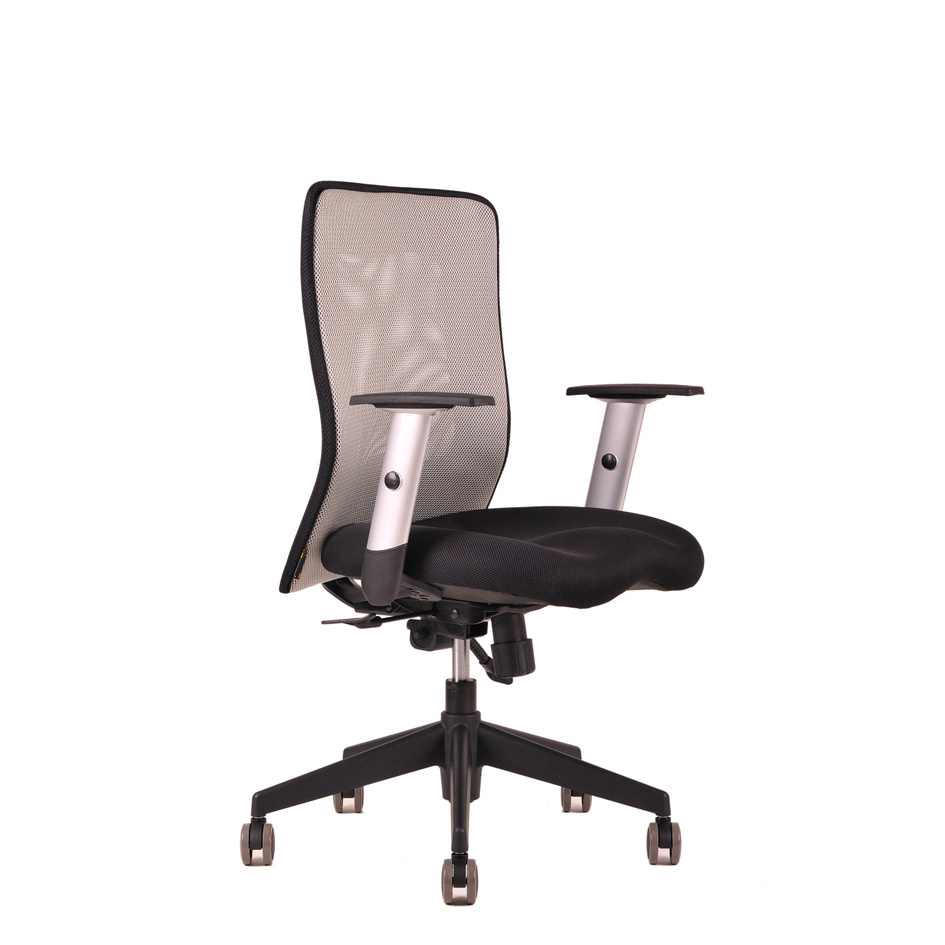 Levně Ergonomická kancelářská židle OfficePro Calypso Barva: šedá