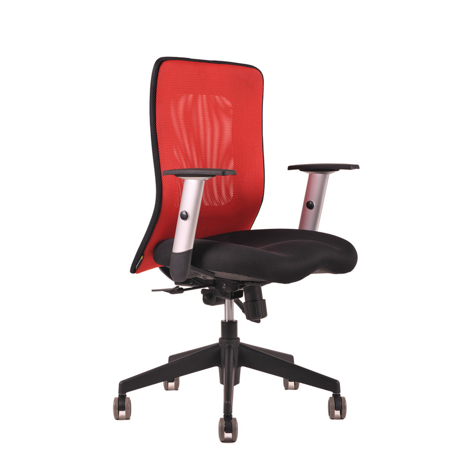 Levně Ergonomická kancelářská židle OfficePro Calypso Barva: červená