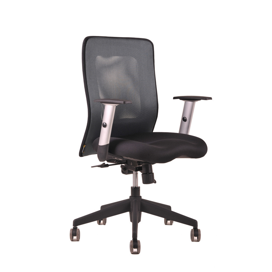 Levně Ergonomická kancelářská židle OfficePro Calypso Barva: antracitová