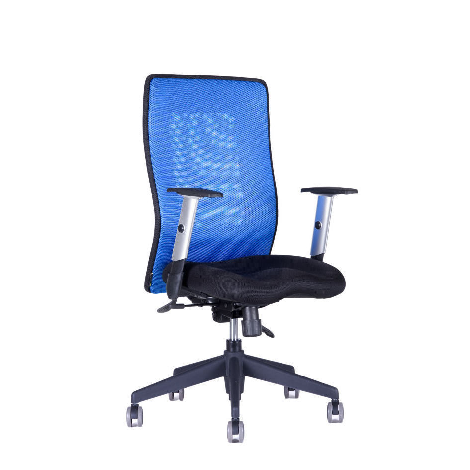 Levně Ergonomická kancelářská židle OfficePro Calypso Grand Barva: modrá, Opěrka hlavy: bez opěrky