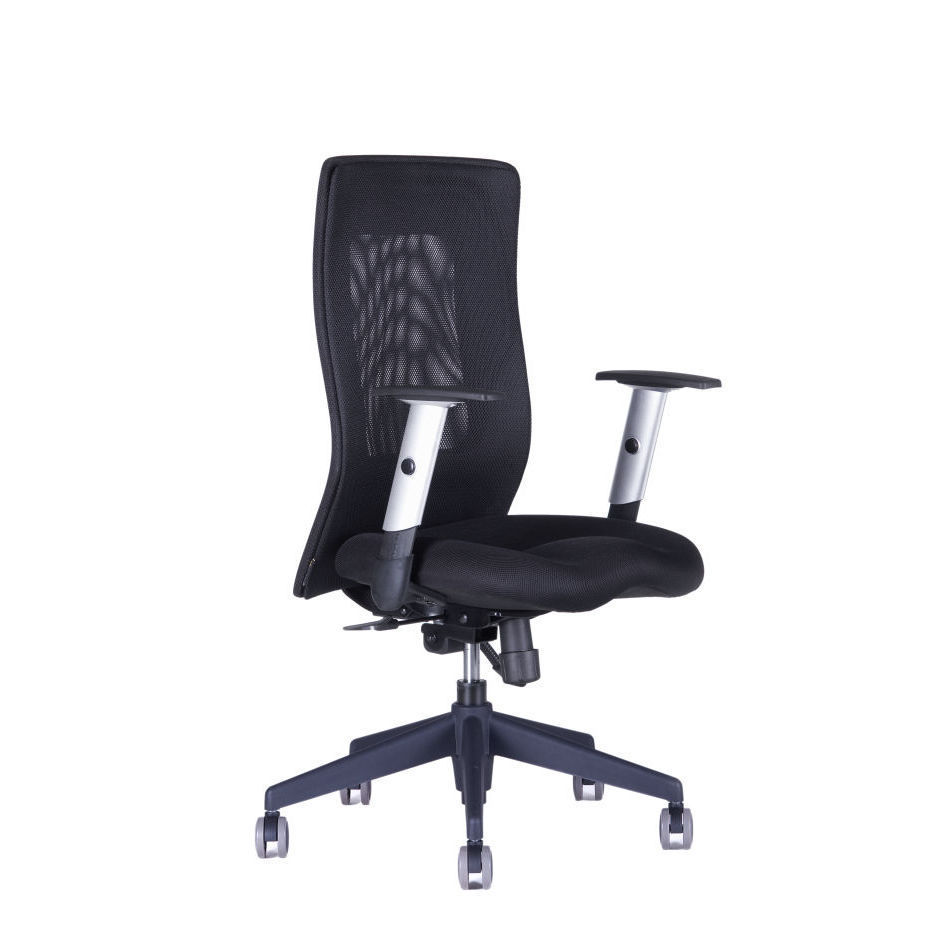 Levně Ergonomická kancelářská židle OfficePro Calypso Grand Barva: černá, Opěrka hlavy: bez opěrky