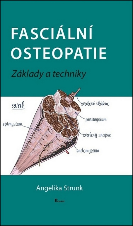 Levně Fasciální osteopatie. Základy a techniky - Angelika Stunk