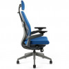 OfficePro Karme Blue 2