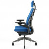 OfficePro Karme Blue 6