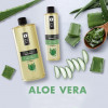sara beauty spa prirodni rostlinny masazni olej aloe vera | 2