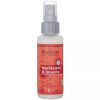 Saloos posilující aroma airspray - Nachlazení a Imunita