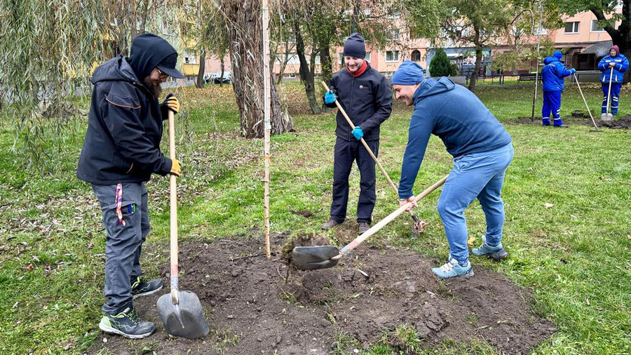 (VIDEÓ) A Vital Vibes Fesztivál, és ami mögötte van