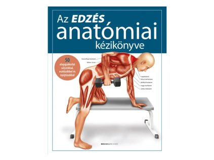 az edzes anatomiai kezikonyve