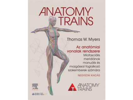 anatomy trains az anatomiai vonalak rendszere
