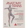 anatomy trains az anatomiai vonalak rendszere