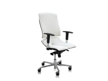 scaun de birou ergonomic asana oțel standard 2