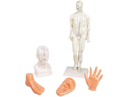 set acupunctură 5 modele | 1
