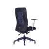 scaun de birou ergonomic officepro calypso grand bp albastru 3