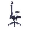 scaun de birou ergonomic officepro calypso grand sp gri 2