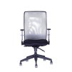 scaun de birou ergonomic officepro calypso grand bp gri 4