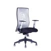 scaun de birou ergonomic officepro calypso grand bp gri 1