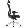 OfficePro Halia Mesh SP Negru 2