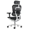 scaun de birou ergonomic officepro sirius q24 neo | 5