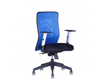 OfficePro Calypso XL BP Blue 1