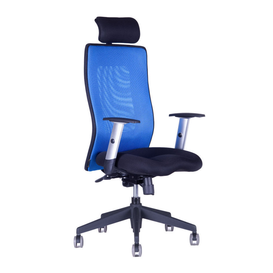 Ergonomická kancelárska stolička OfficePro Calypso Grand Farba: modrá, Opierka hlavy: s opierkou