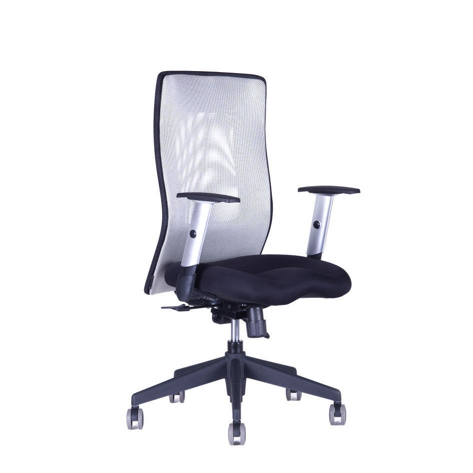 E-shop Ergonomická kancelárska stolička OfficePro Calypso Grand Farba: sivá, Opierka hlavy: bez opierky