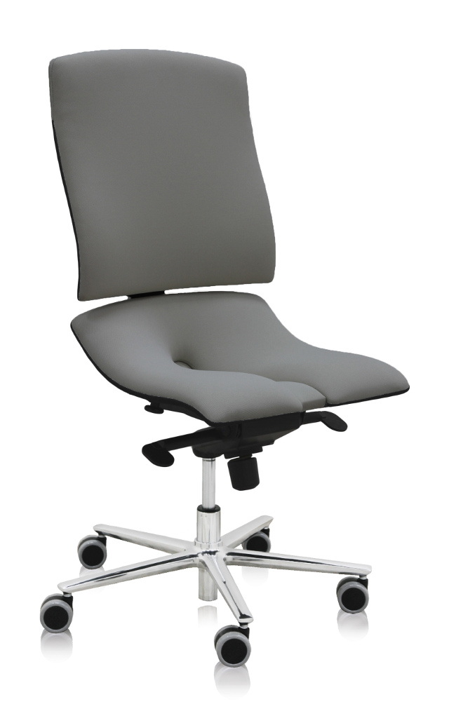 E-shop ASANA Seating Ergonomická kancelárska stolička Asana Steel Standard Farba čalúnenia: Látka Atlantic Sivá 60142, Opierky rúk: bez opierok