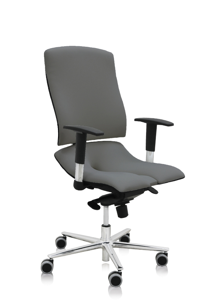 ASANA Seating Ergonomická kancelárska stolička Asana Steel Standard Farba čalúnenia: Látka Atlantic Sivá 60142, Opierky rúk: s opierkami