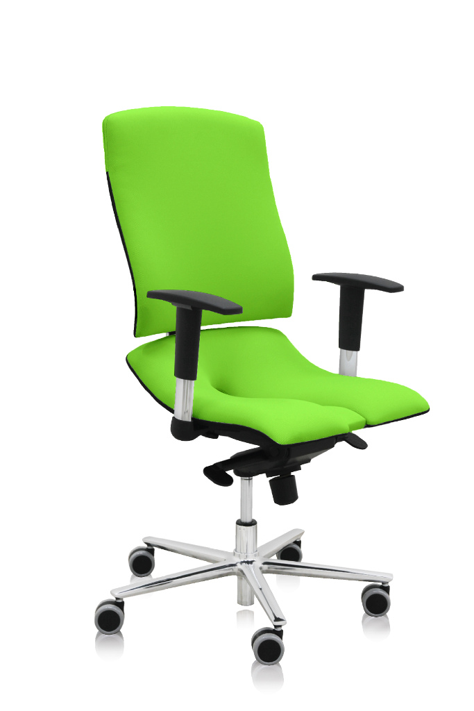 ASANA Seating Ergonomická kancelárska stolička Asana Steel Standard Farba čalúnenia: Látka Atlantic Zelená 68099, Opierky rúk: s opierkami