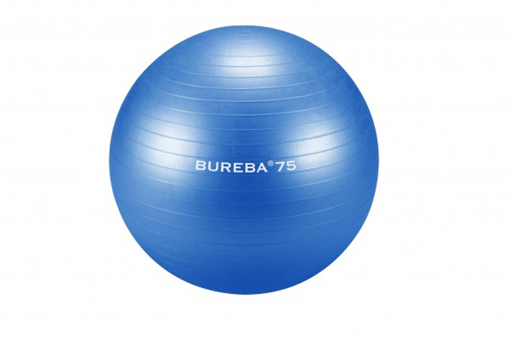 E-shop Trendy Sport Fitlopta Trendy Bureba Ball, Ø 75 cm Farba: modrá