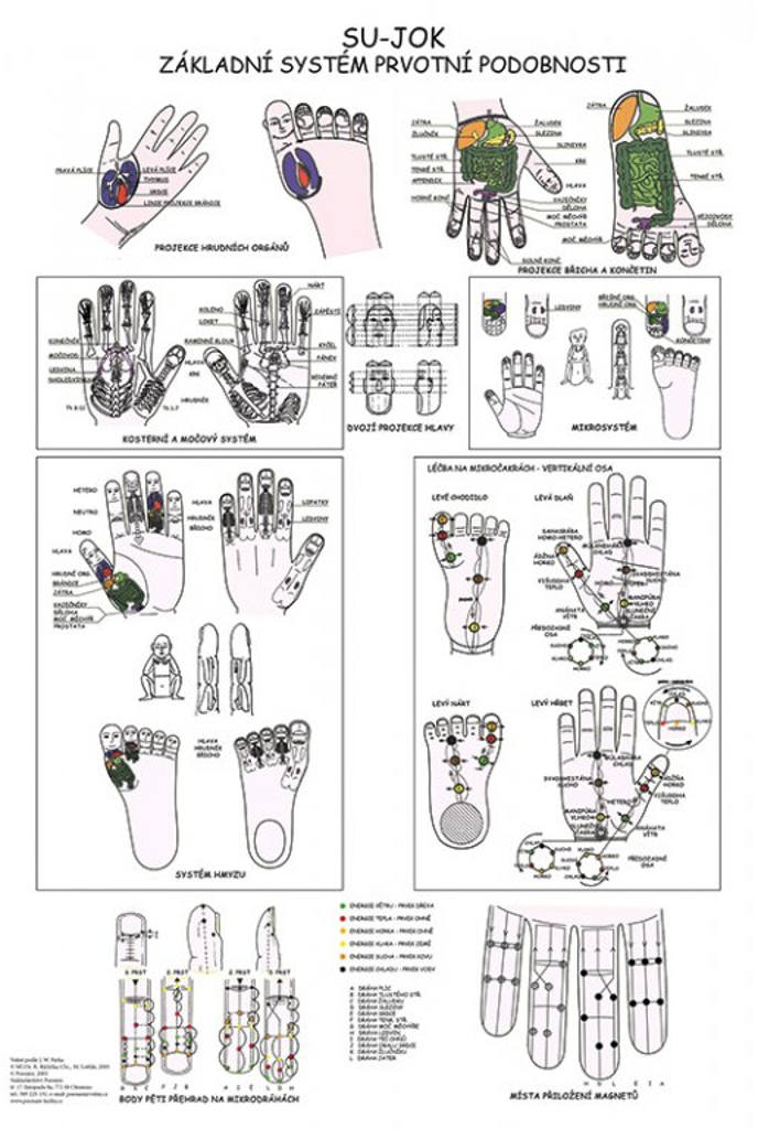 E-shop Vydavateľstvo Poznání Anatomický plagát - SU-JOK - základný systém prvotnej podobnosti