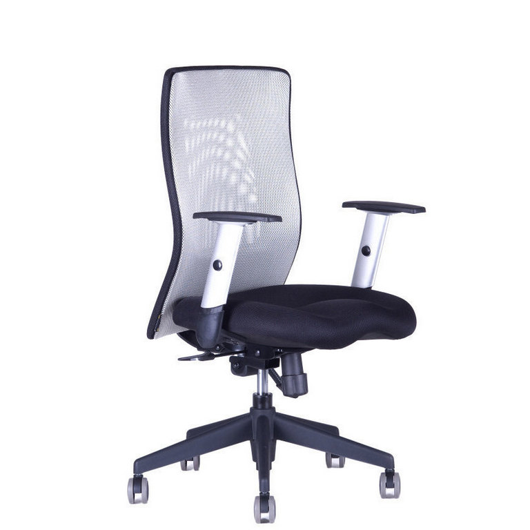 E-shop Ergonomická kancelárska stolička OfficePro Calypso XL Farba: sivá, Opierka hlavy: bez opierky