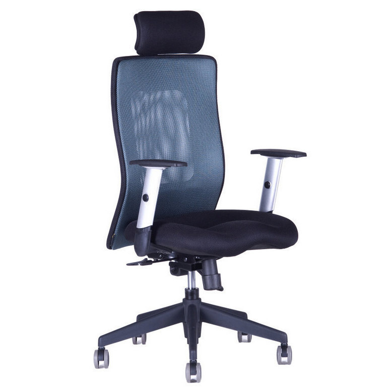 E-shop Ergonomická kancelárska stolička OfficePro Calypso XL Farba: antracitová, Opierka hlavy: s opierkou