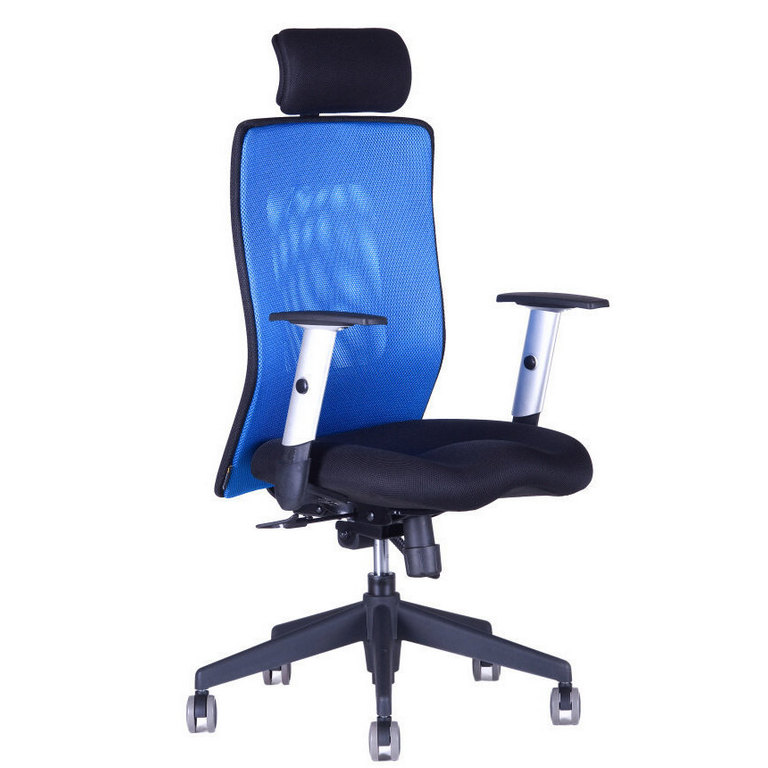 E-shop Ergonomická kancelárska stolička OfficePro Calypso XL Farba: modrá, Opierka hlavy: s opierkou