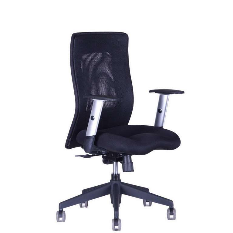 E-shop Ergonomická kancelárska stolička OfficePro Calypso XL Farba: čierna, Opierka hlavy: bez opierky