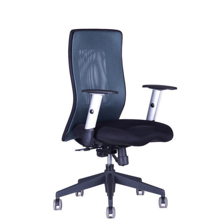 E-shop Ergonomická kancelárska stolička OfficePro Calypso XL Farba: antracitová, Opierka hlavy: bez opierky