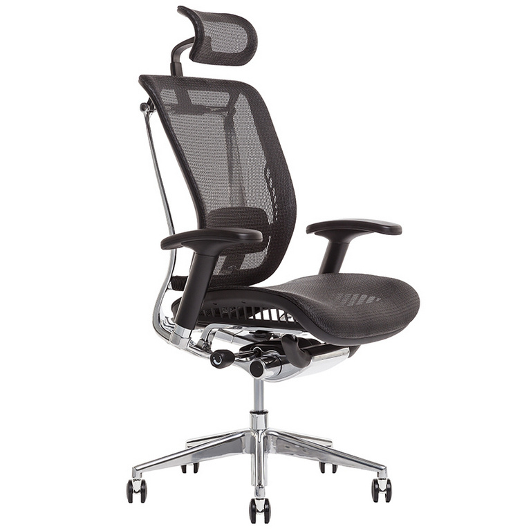 E-shop Ergonomická kancelárska stolička OfficePro Lacerta Farba: čierna