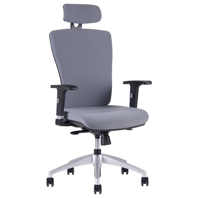 Ergonomická kancelárska stolička OfficePro Halia Farba: sivá, Opierka hlavy: s opierkou