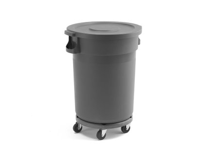 Waste container DOUGLAS, 120L, gray, including chassis with wheels