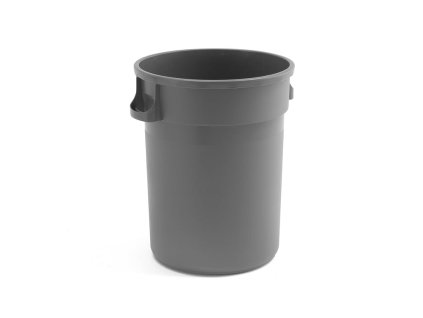 Abfallbehälter DOUGLAS, 120 L, grau