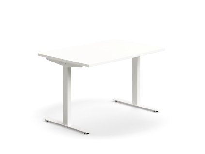 QBUS office desk, straight, 1200x800 mm, T-frame, white frame, white