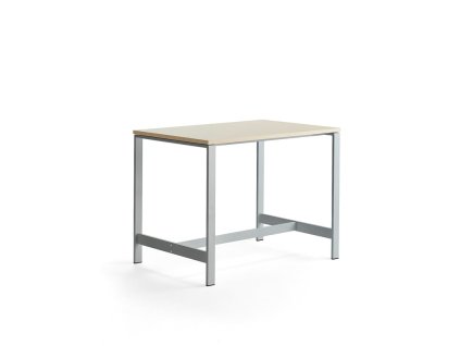 VARIOUS table, 1200x800x900 mm, silver, birch