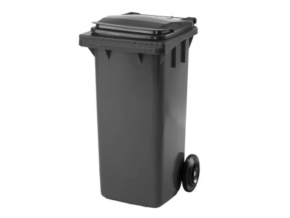 Abfallbehälter HENRY, 120 L, grau